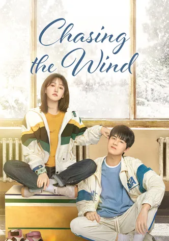 Chasing the Wind poster