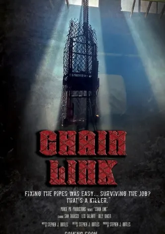 Chain Link poster
