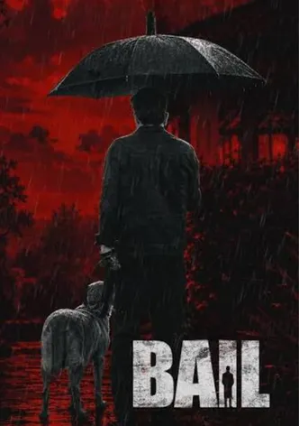 Bail poster