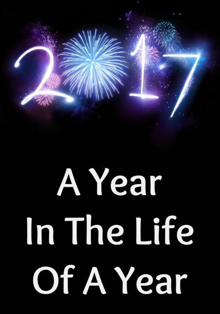 2017: A Year in the Life of a Year
