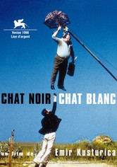 Chat noir, chat blanc