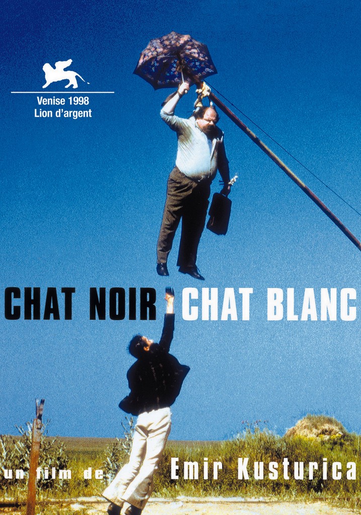 Regarder Chat noir chat blanc en streaming complet