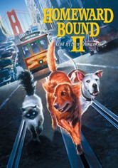 Homeward Bound II: Lost in San Francisco