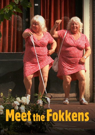 Meet the Fokkens