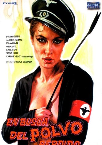 En busca del polvo perdido