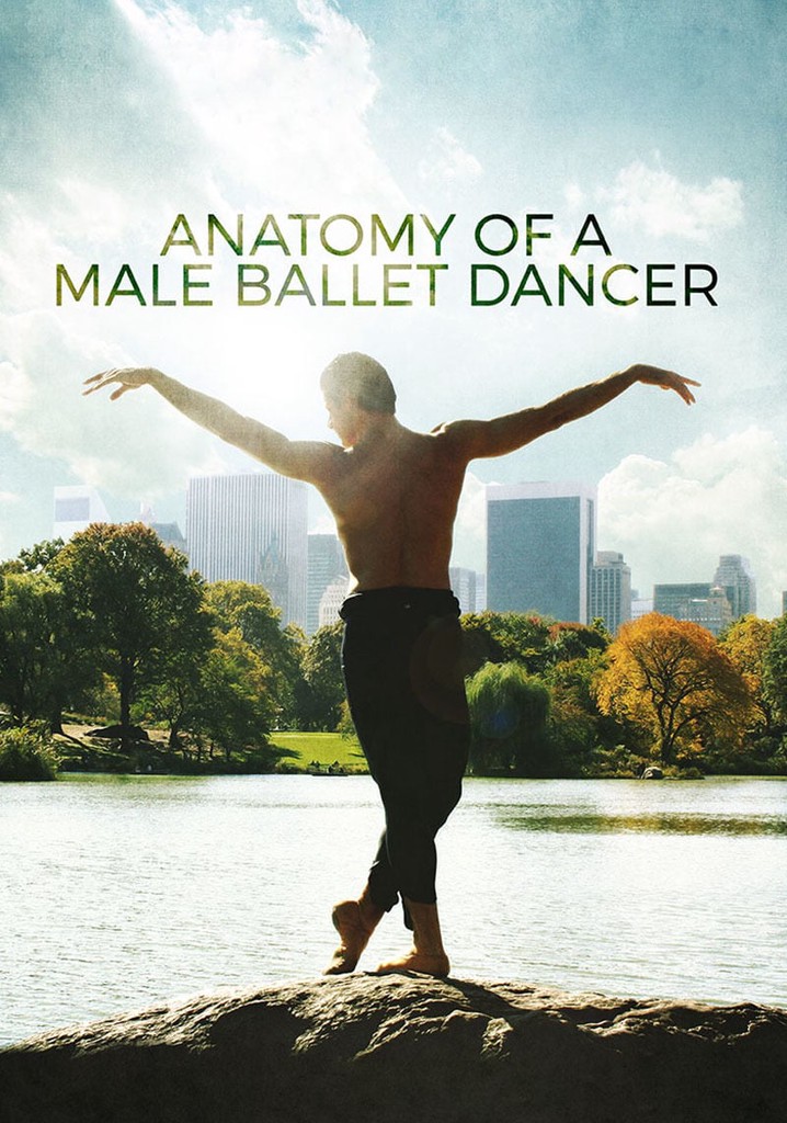 Anatomy of a Male Ballet Dancer
