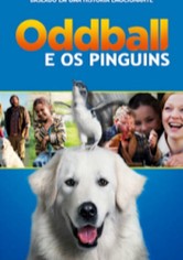 Oddball e os Pinguins