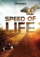Speed of Life - Momentaufnahmen des Lebens
