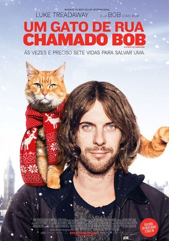 Um Presente do Gato Bob