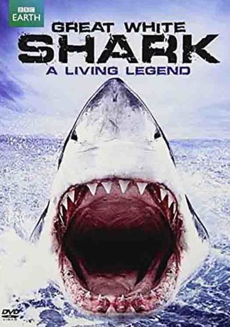 Great White Shark: A Living Legend