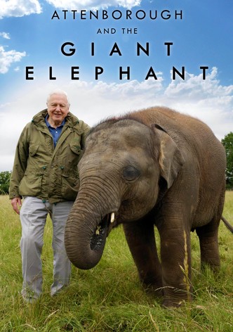 Attenborough and the Giant Elephant