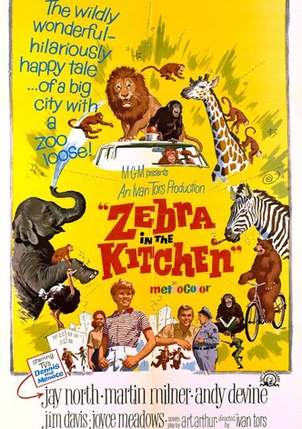 Zebra in the Kitchen