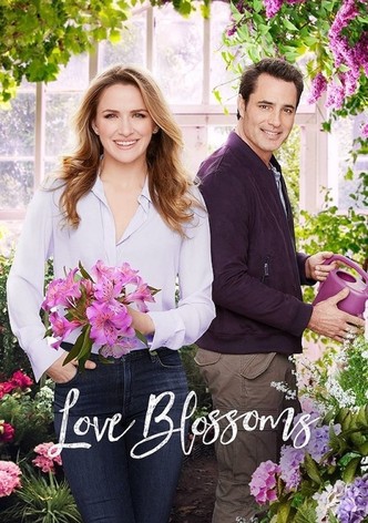 Watch love romance and chocolate sale hallmark movie online free