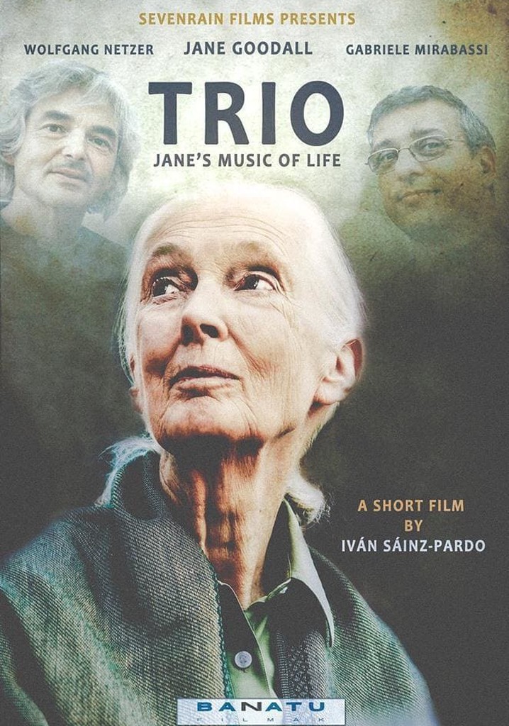 Trio. Jane's Music of Life