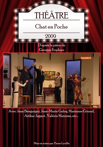 Chat en Poche
