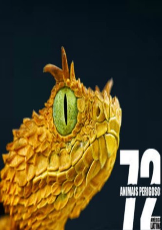72 Animais Perigosos: América Latina