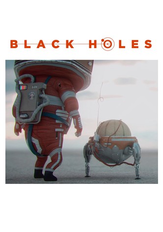 Black Holes