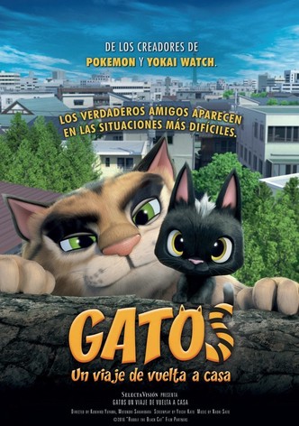 Gatos: Un viaje de vuelta a casa