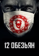 12 oбезьян