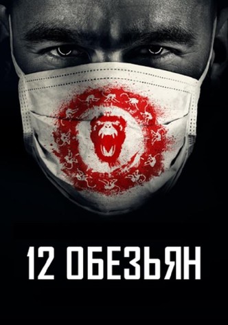 12 oбезьян