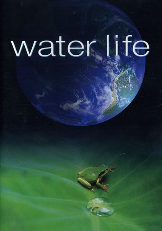 Water Life A World of Water