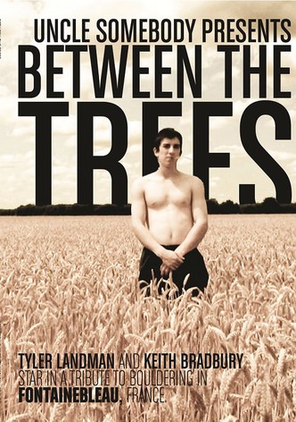 Between The Trees