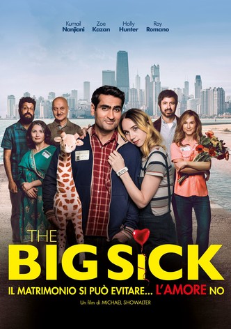 The Big Sick - Il matrimonio si può evitare... l'amore no