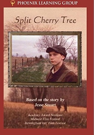 Split Cherry Tree