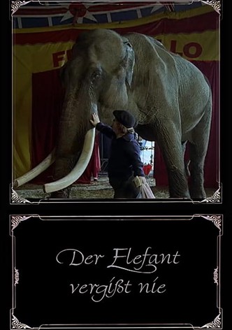 The Elephant Never Forgets