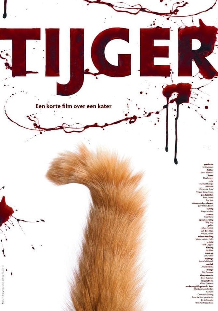 Tijger