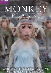 Monkey Planet