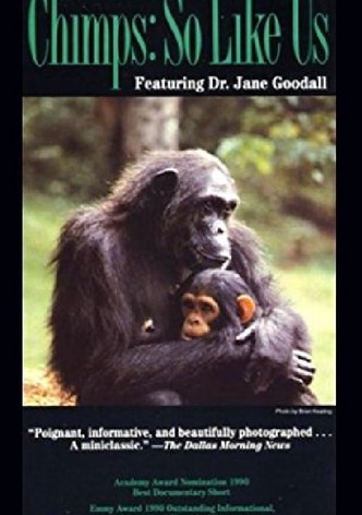 Chimps: So Like Us