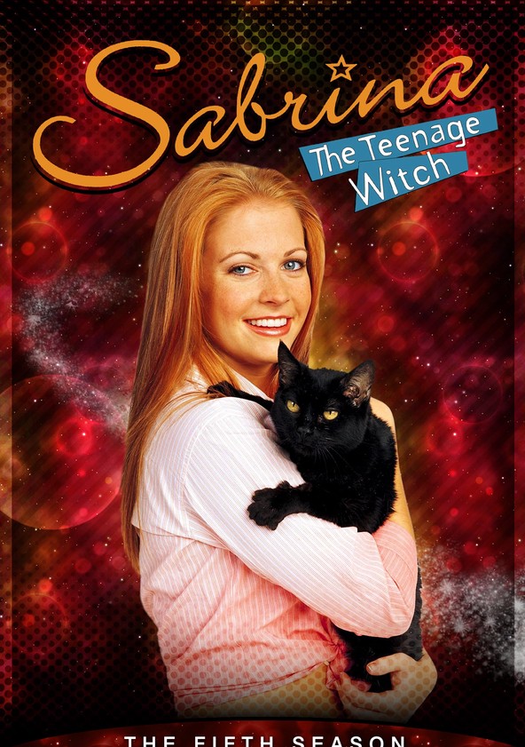 Sabrina Teenage Witch: Fifth Season/ [DVD]　(shin