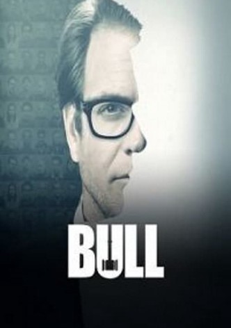 Bull - Staffel 2
