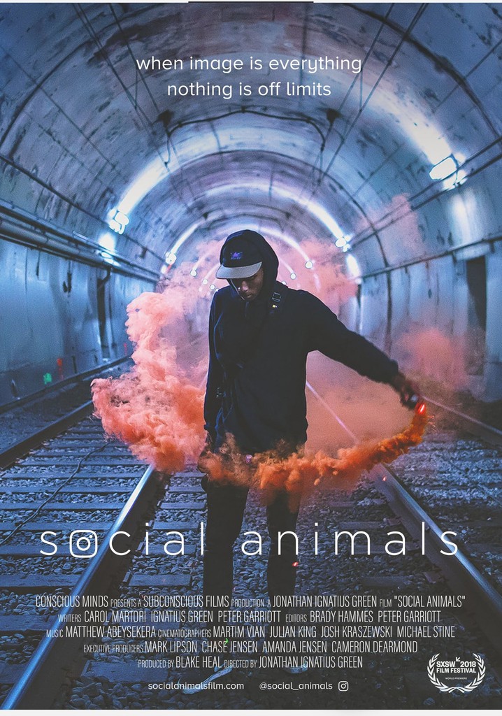 Social Animals streaming: where to watch online?