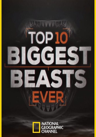 Top 10 biggest beast ever