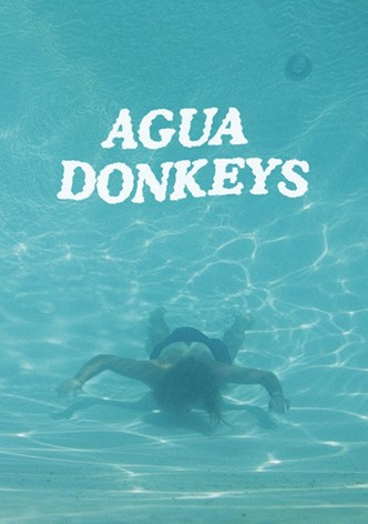 Agua Donkeys