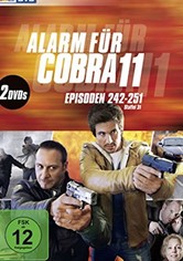Alerte Cobra - Saison 33