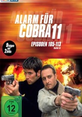 Alerta Cobra - Temporada 15