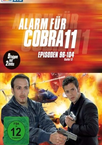 Alerte Cobra - Saison 14