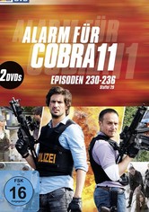 Alerta Cobra - Temporada 31