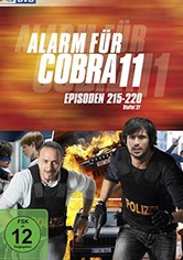 Alerte Cobra - Saison 29