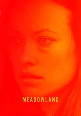Meadowland poster