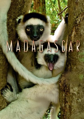 Madagascar: Land of the Chameleons