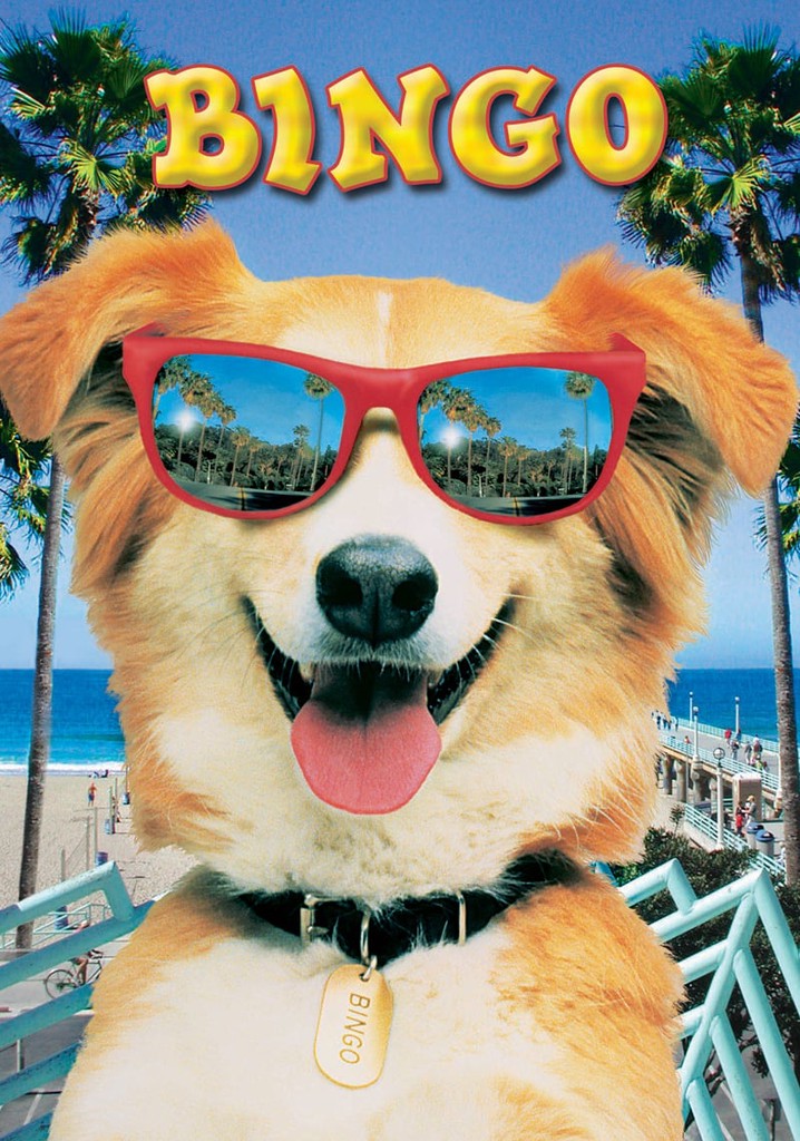 Kahraman Köpek Bingo