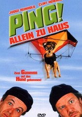 Ping! - Allein zu Haus
