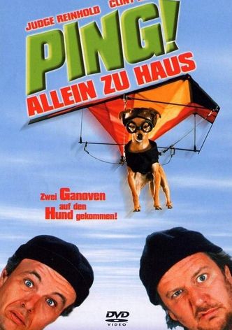 Ping! - Allein zu Haus
