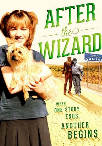 After the Wizard