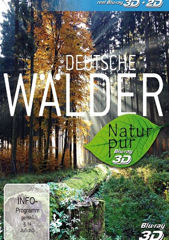 Natur pur - Deutsche Wälder