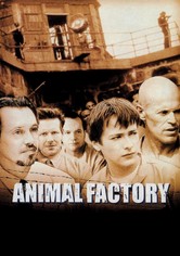 Animal Factory